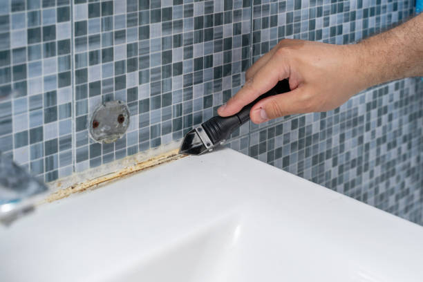 Best Office Mold Removal Services  in Reynoldsville, PA